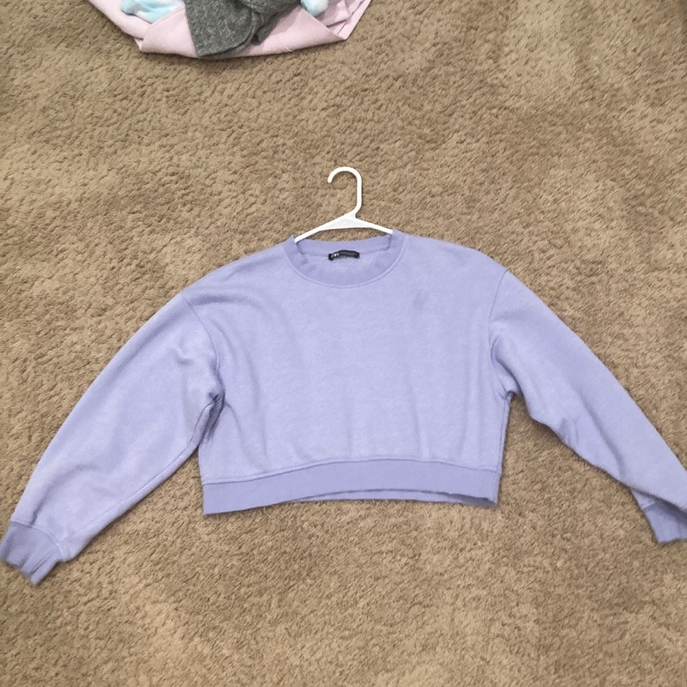 zara sweater